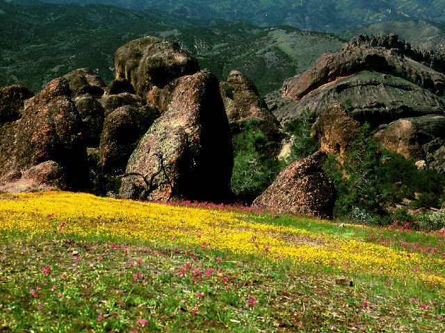 Photos - Paysages - 071